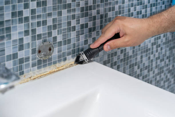 Best Local Mold Removal Service  in South Elgin, IL
